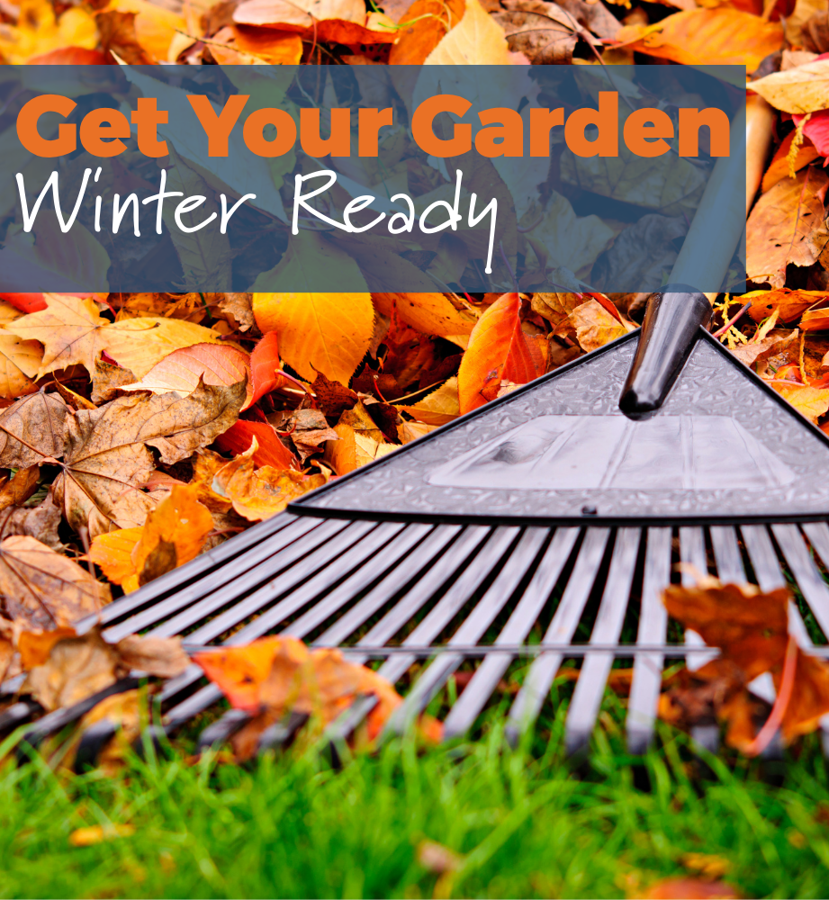 Get Your Garden Winter Ready